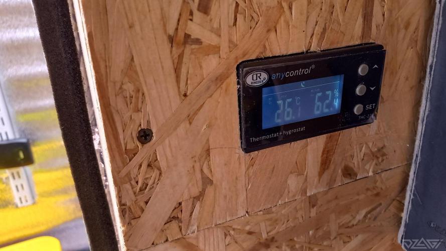 UKHTA. Fruit Gum. Week 1