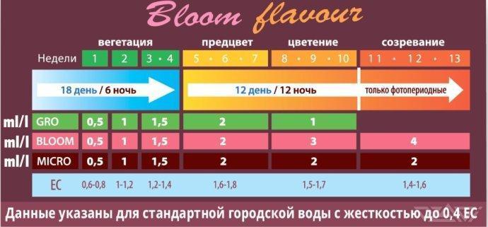 Ukhta. Fruit Gum. Week 2