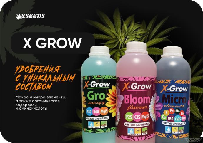 Ukhta. Fruit Gum. Week 2