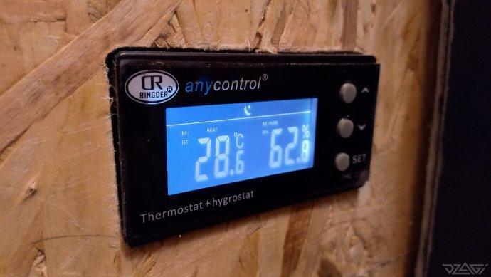 UKHTA. Fruit Gum. Week 2