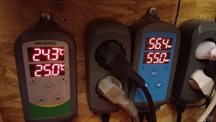 UKHTA. Fruit Gum. Week 6