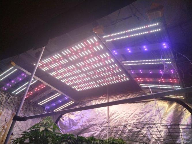 Ukhta. Fruit Gum. Week 12