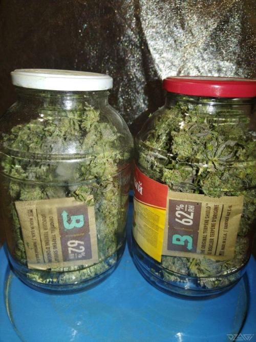 Ukhta. Fruit Gum. Week 26