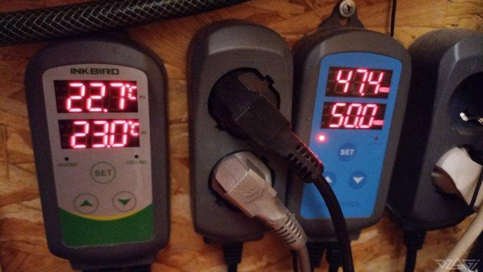 UKHTA. Fruit Gum. Week 13