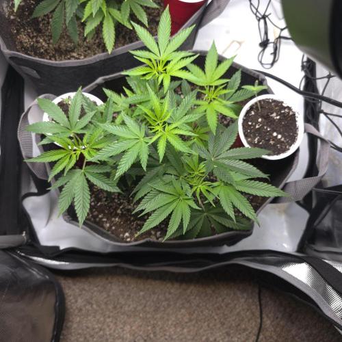 Fuck everyone.. Week 5