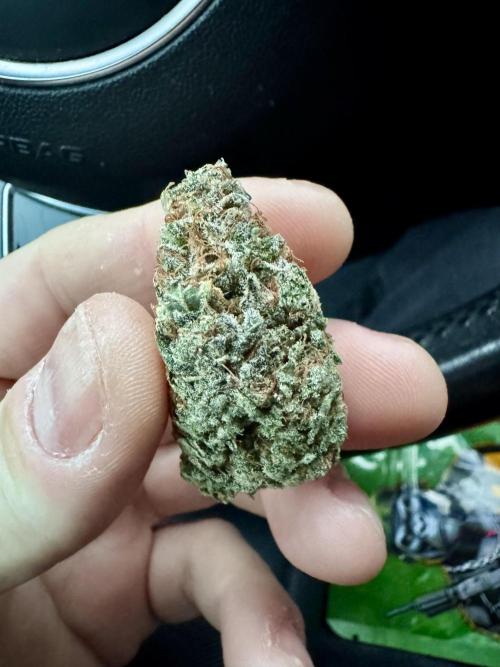 Sticky orange /double grape / first grow. Week 9 - Prêt à fumer 