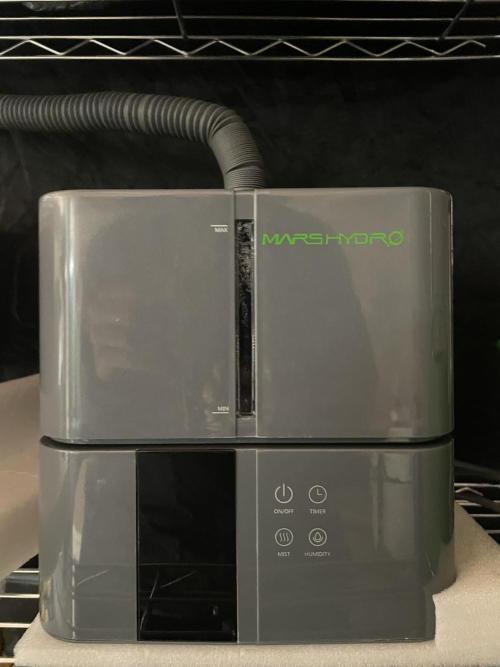 SPECIAL Kush #1 Afghan x Kush. Week 0