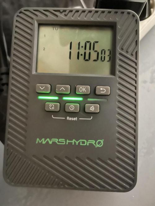 PGC: Ghost OG X Candyland Purple. Week 0