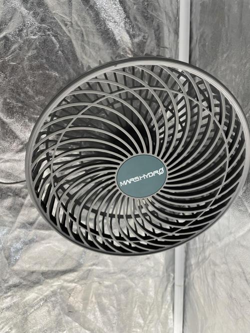 PGC: Ghost OG X Candyland Purple. Week 1