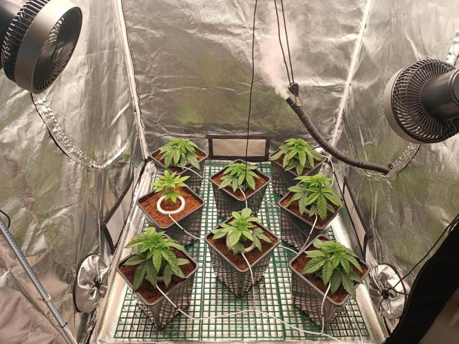 Third attempt. Week 3