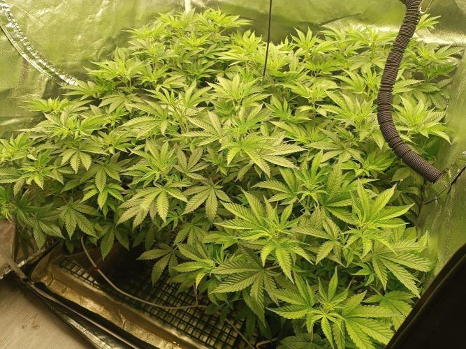 Čtvrtá jízda. Week 5