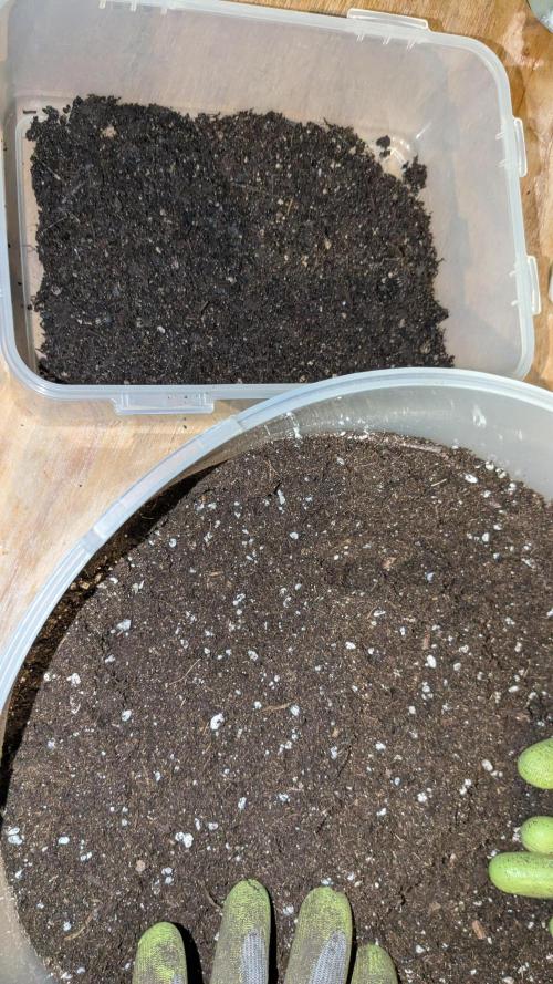 washingmachine/enemyofthestate/permanent. Week 0