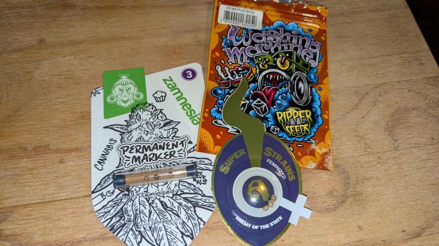 washingmachine/enemyofthestate/permanent. Week 0