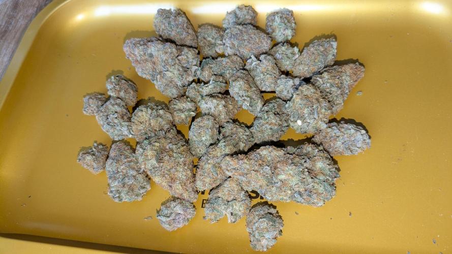 Ayahuasca purple/purple urkle/spacecooki. Week 16