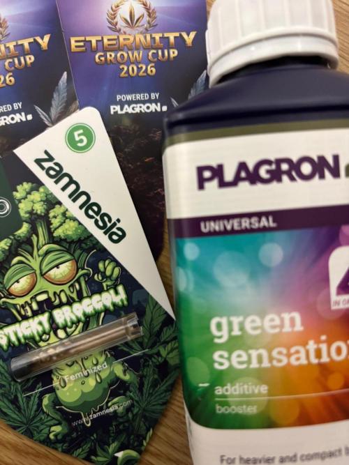 Eternity Grow Cup 2026. Week 0 - Empecemos! 