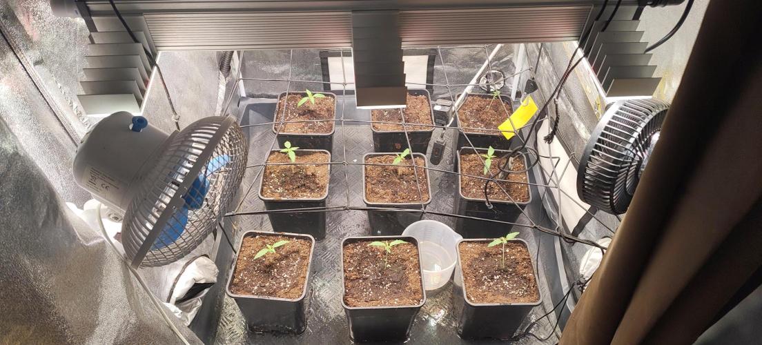 Home Lab 2025. Week 2