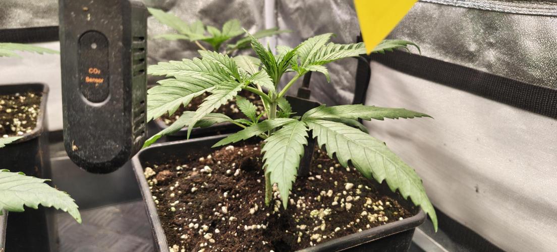 Home Lab 2025. Week 3