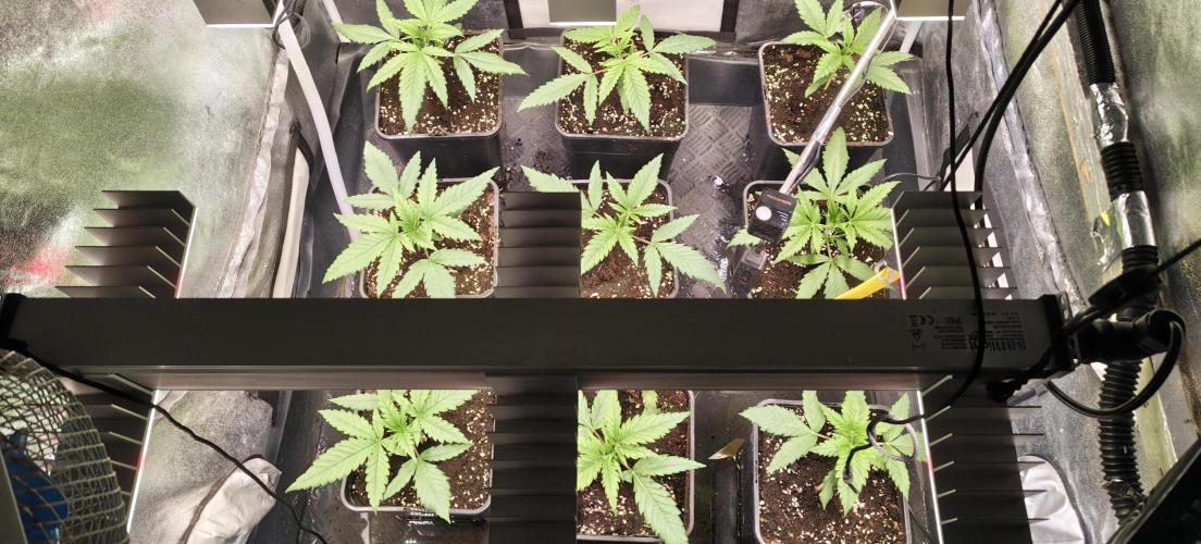 Home Lab 2025. Week 3