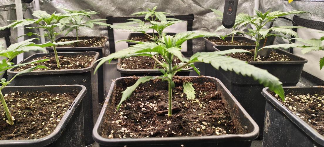 Home Lab 2025. Week 3