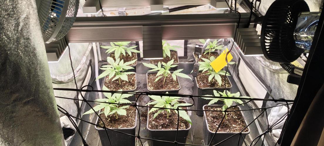 Home Lab 2025. Week 3