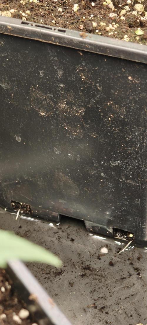 Home Lab 2025. Week 3