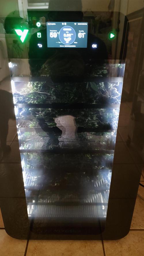 Blackberry Moonrocks. Week 10