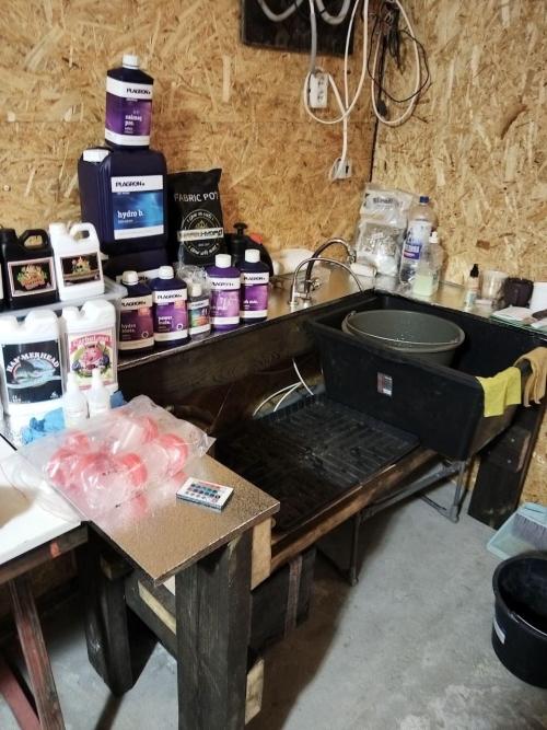 Visiting a Fairy Tale. Week 0