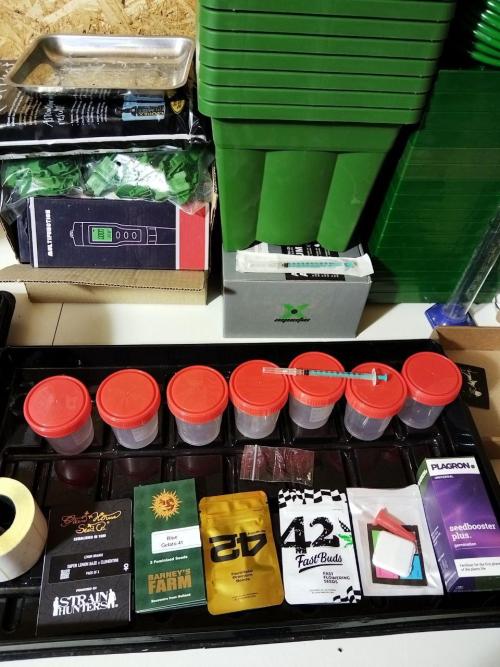 Visiting a Fairy Tale. Week 0