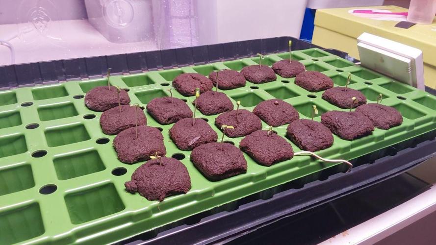 Visiting a Fairy Tale. Week 0 - Day 4