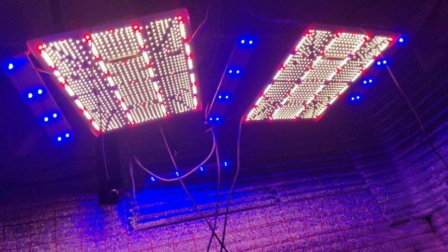 Visiting a Fairy Tale. Week 0