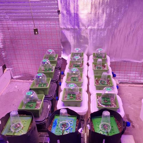 Visiting a Fairy Tale. Week 1