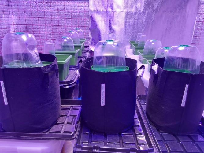 Visiting a Fairy Tale. Week 1 - Day9