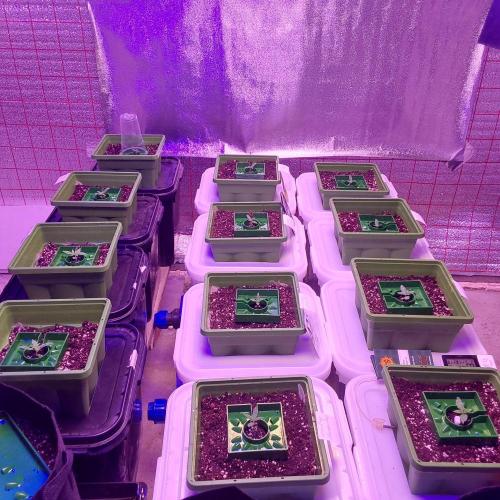 Visiting a Fairy Tale. Week 1 - Day12