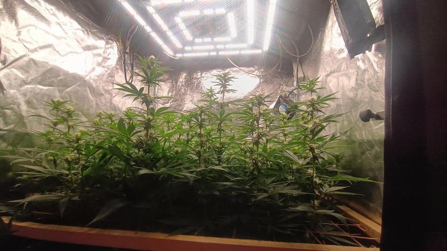 Už jsem jednou jel. Week 8 - Iced out 