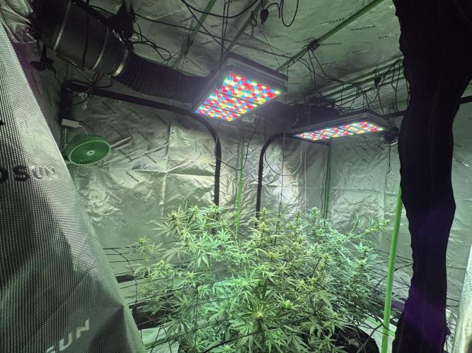 Future Clone. Week 7 - 2nd layer netting installed 