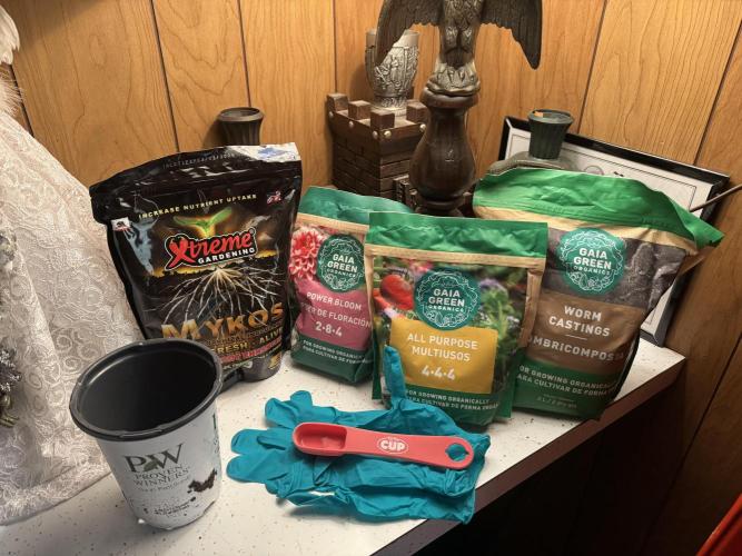 Pineapple Poison #1. Week 3 - Day 19, into 3 gallon bags with amendments in Happy Frog.