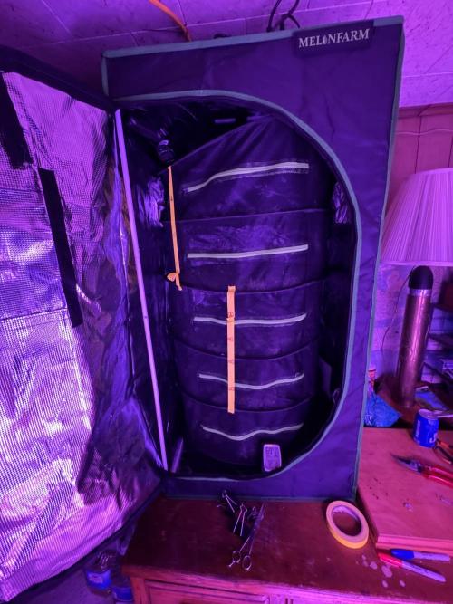 Future Clone. Week 12