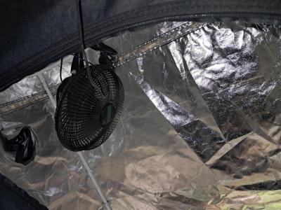 Comment by Jackomo photo #4