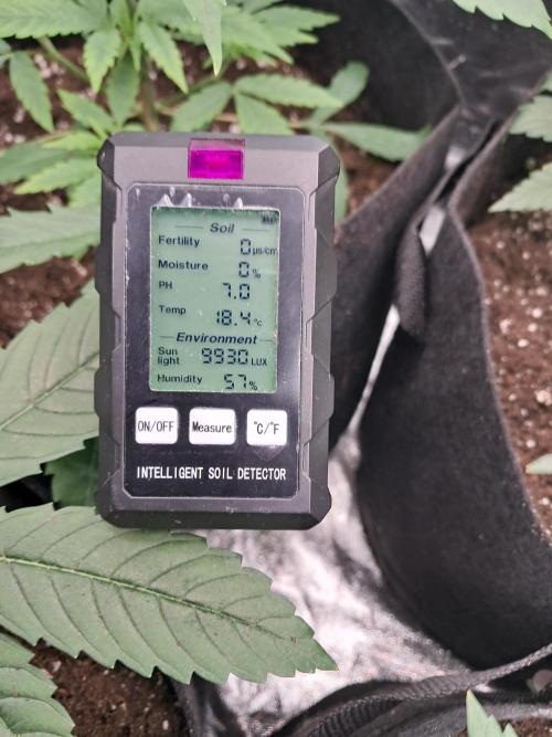 Zündung. Week 3 - Muss noch abstimmen Temperatur könnte etwaa höher sei 