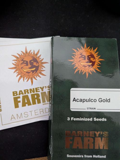 Acapulco Gold. Week 0 - 3x Acapulco Gold von Barneys Farm