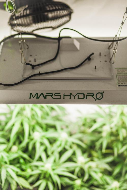 2 Autos + 1 Photo. 60x60. 150W LED.. Week 5