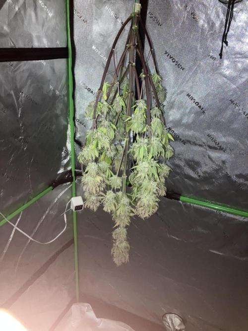 First Timer All Around!. Week 9