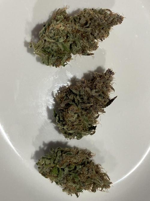 First Timer All Around!. Week 9