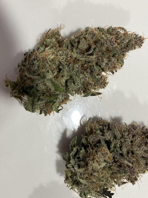 First Timer All Around!. Week 9