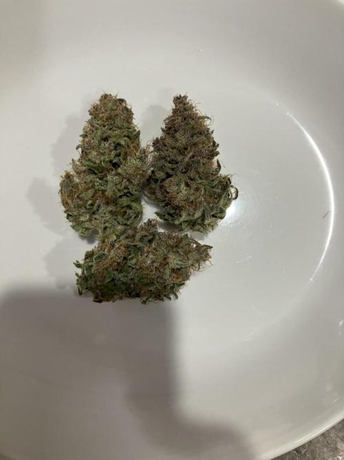 First Timer All Around!. Week 9