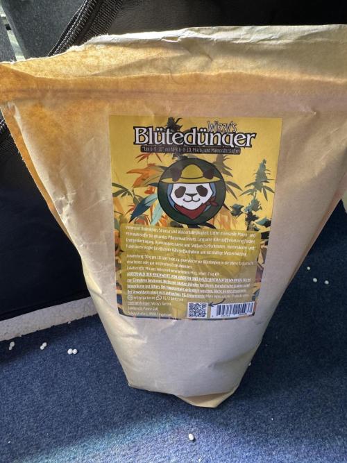 Forbitten Blueprint. Week 6 - @wizzysgarden 