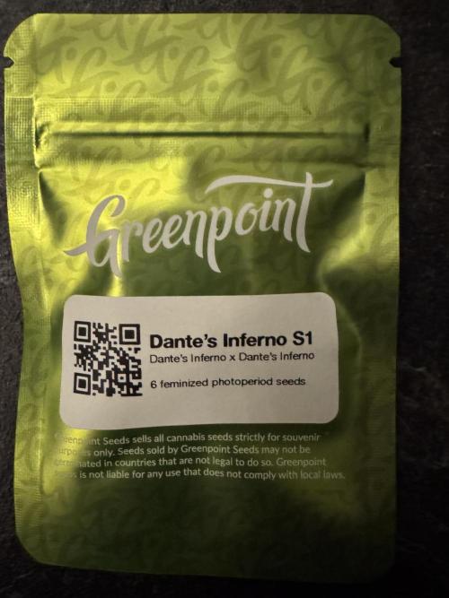 Dantes Inferno. Week 0