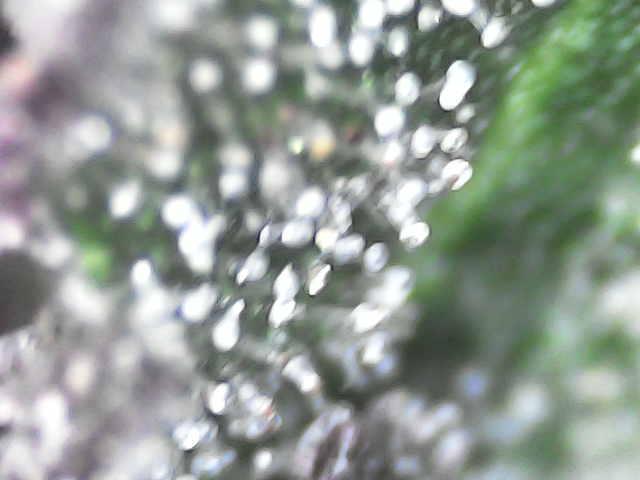 Forbidden Blueprint. Week 12