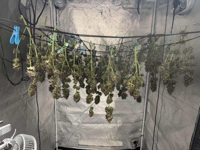 Forbidden Blueprint. Week 14