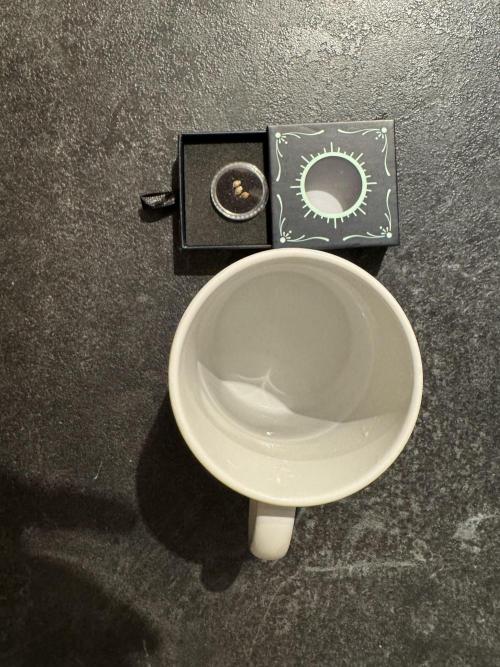 Rainbow Chimera. Week 0